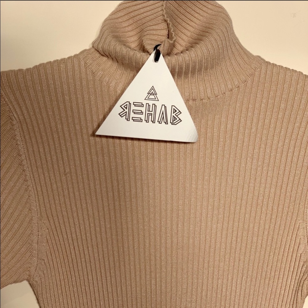 Camel robbed turtleneck dress